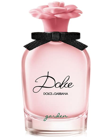 dolce gabbana perfume new 2018